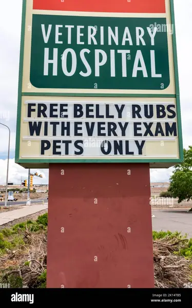 Pet Hospital Signage: 20 Years of Installing Signs That Survive Scratching, Bleach, and Anxious Owners