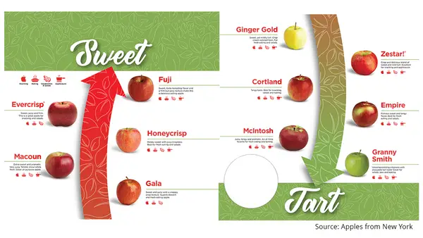 How to Compare Sign Quotes: Apples-to-Apples Specs Guide